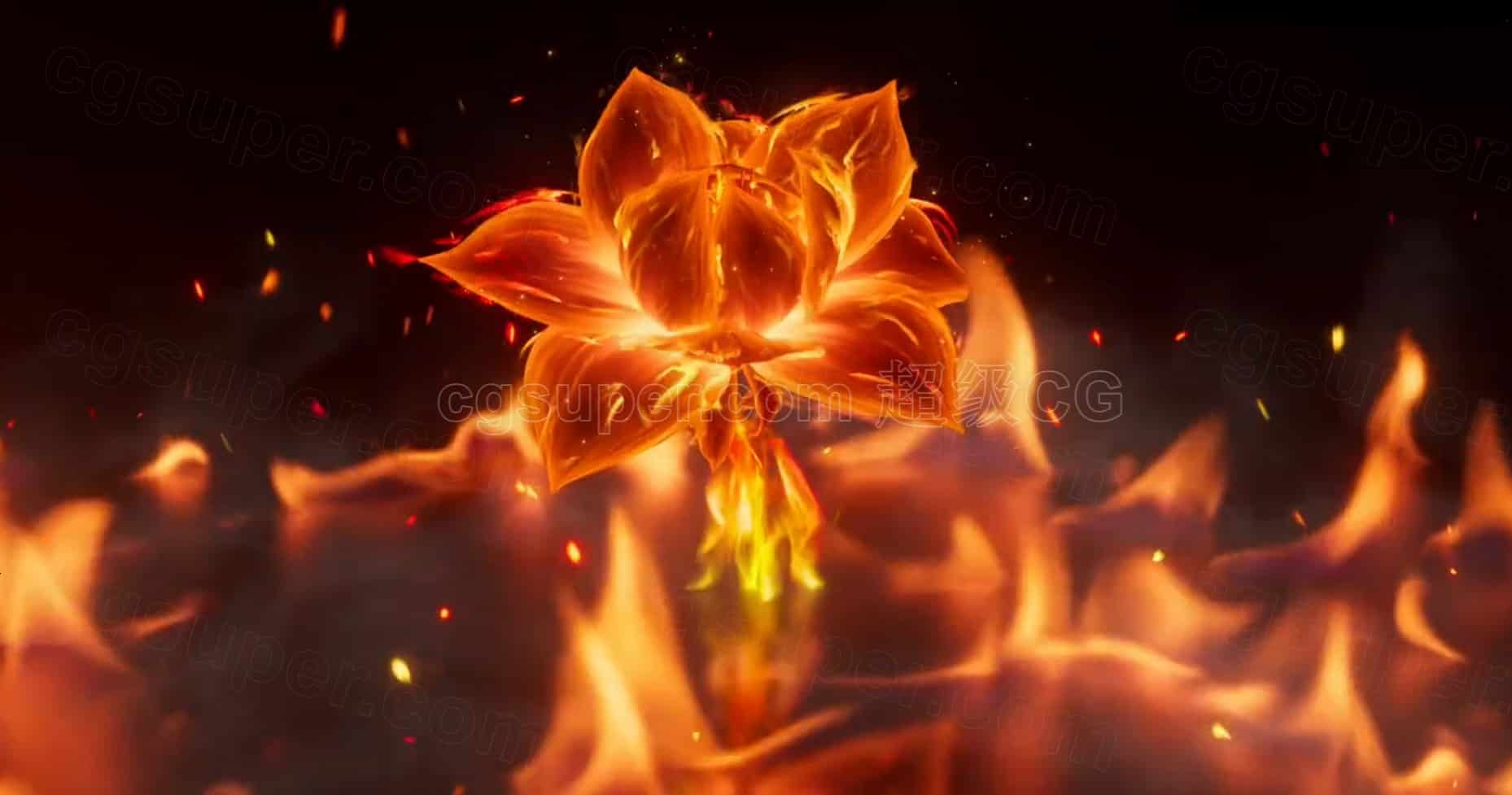 Houdini火焰花开花生长动画hip工程臀部Flower_growth