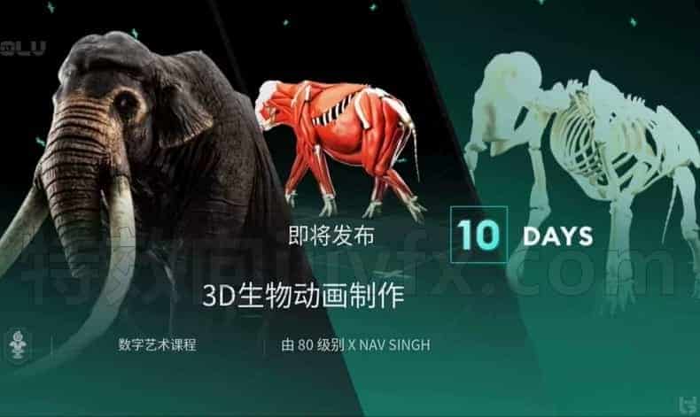 完结Maya制作猛犸象3D生物绑定动画与CFX课程