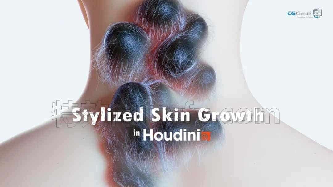 第13篇  houdini 皮肤肉瘤生长效果Stylized Skin Growth