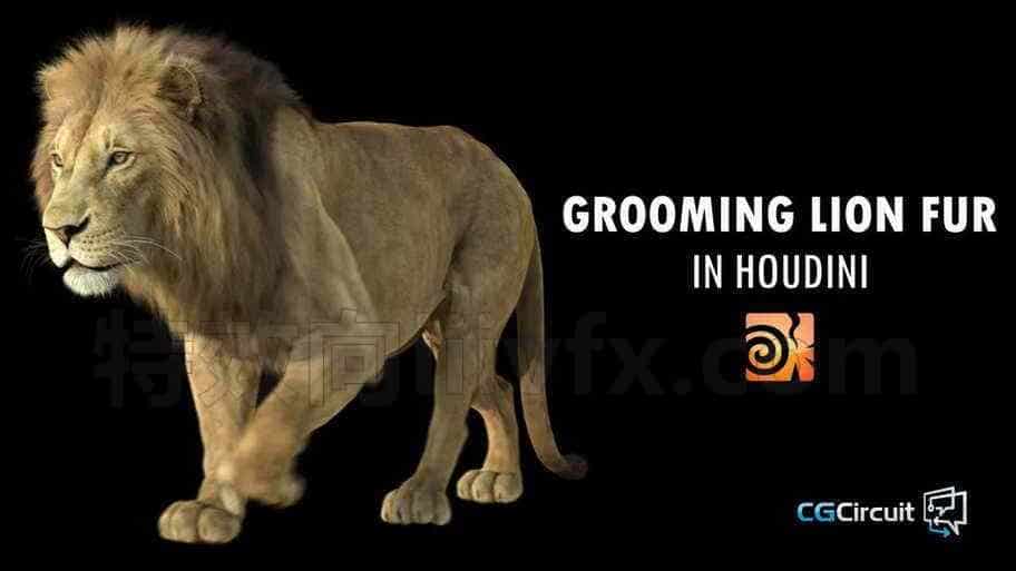 109篇 Houdini18.5制作狮子毛发Grooming Lion Fur in Houdini