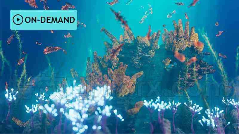 Houdini海底环境外星生命起源形式 Alien Life Forms学校216