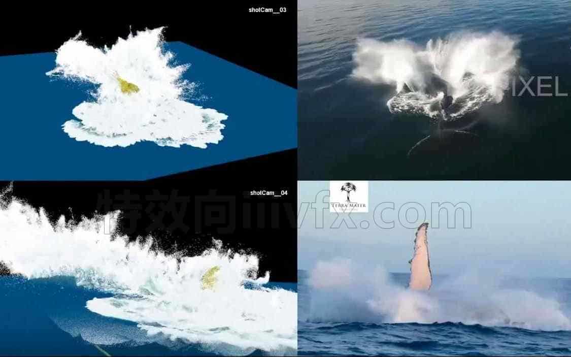 Houdini鲸鱼出水流体工程文件