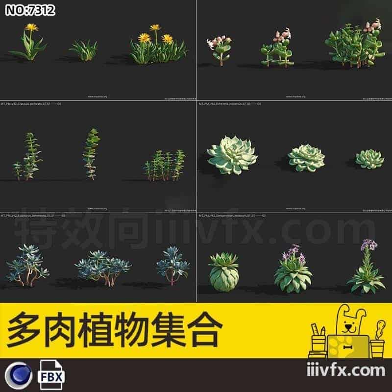 blender模型A7312_24套多肉植物-870G模型