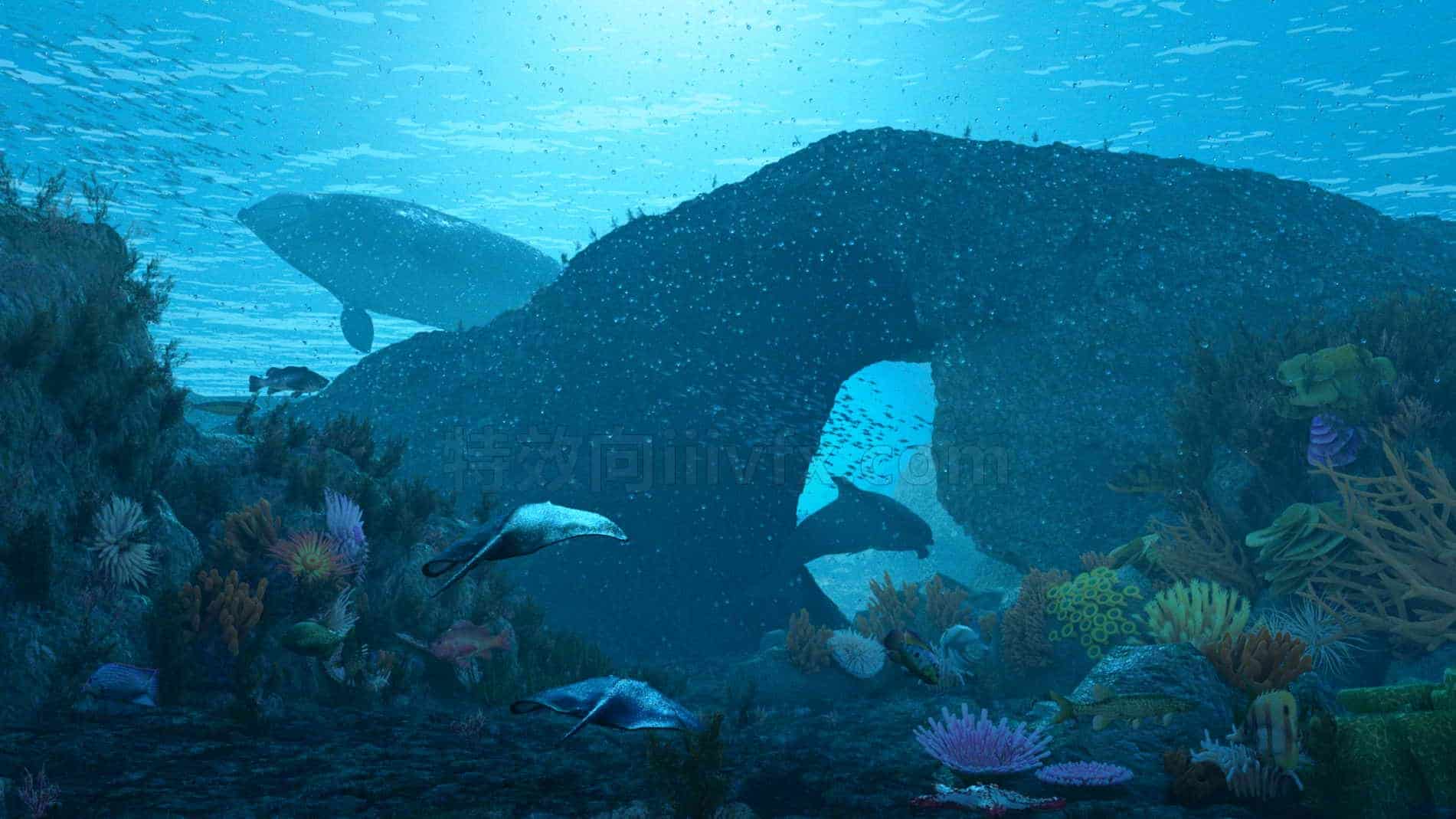 C4D模型B075-128_海底世界