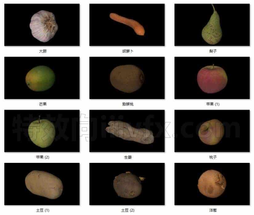 C4DD-009-12个-水果-蔬菜-模型-C4D模型A人物-动物-食物