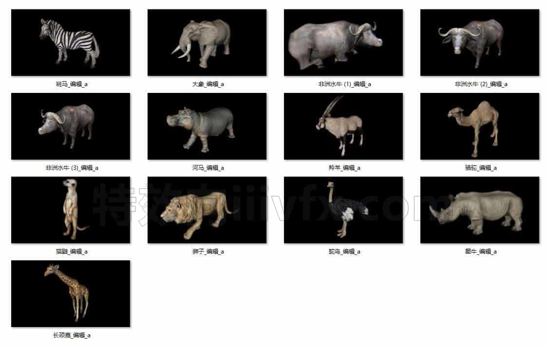C4DD-011-13个非洲野生动物模型-C4D模型A人物-动物-食物