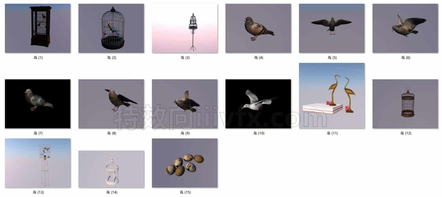 C4DD-012-15个-鸟儿-鸟笼-鸟蛋模型-C4D模型A人物-动物-食物