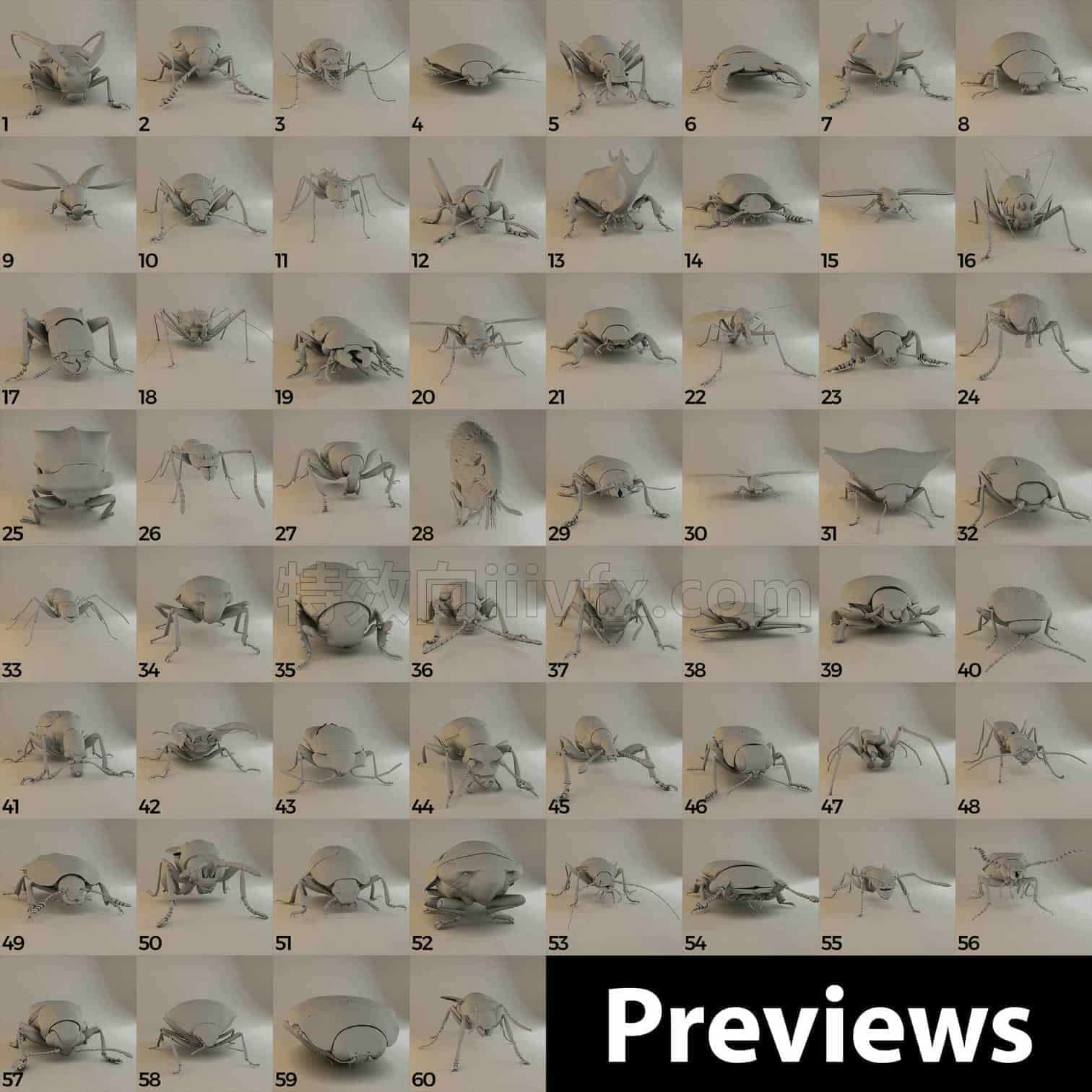 C4DD-026-60个昆虫-C4D模型A人物-动物-食物