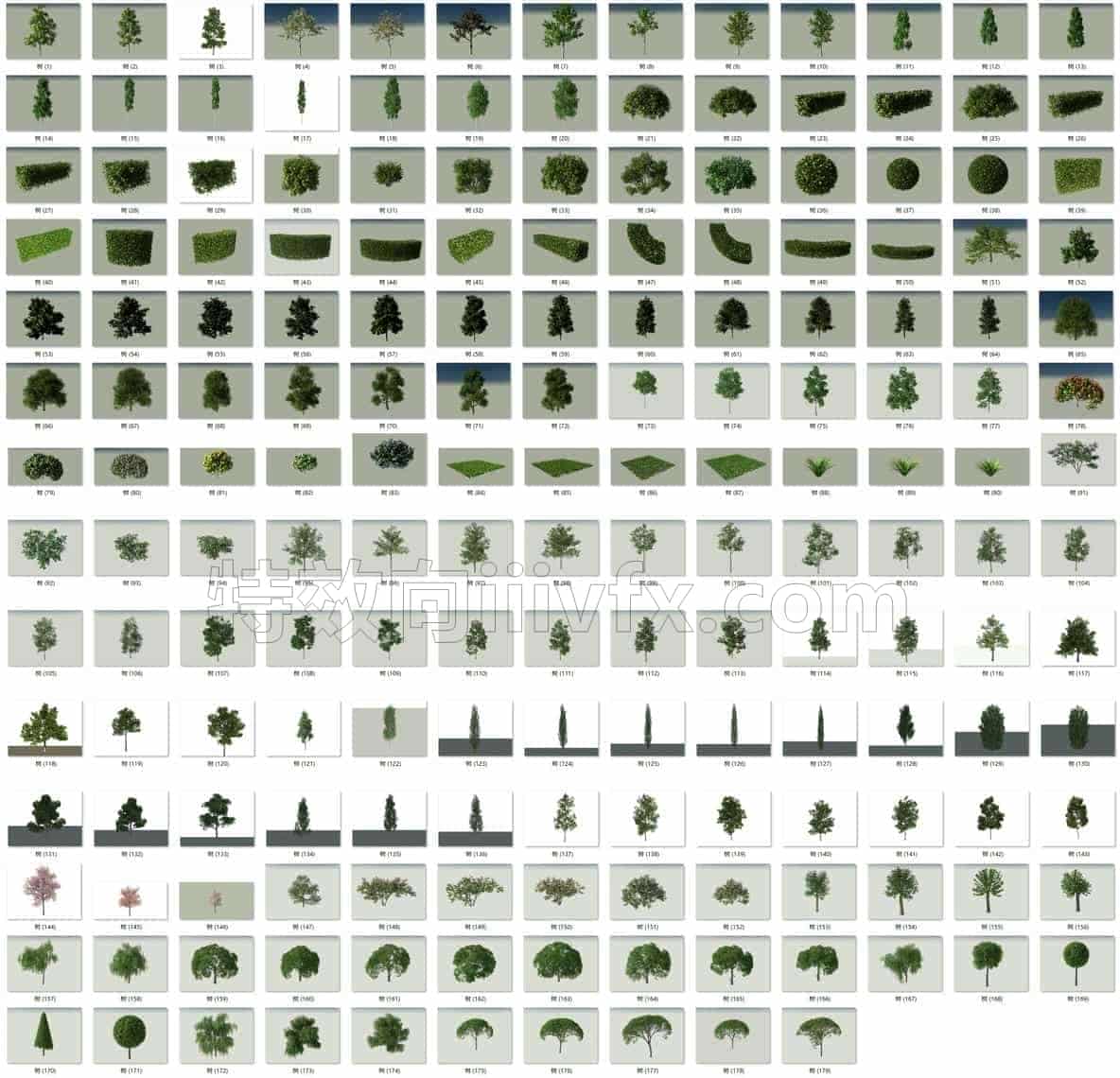 C4DG-011-179个植物-树-模型-vray渲染-C4D模型A植物-花树-草地