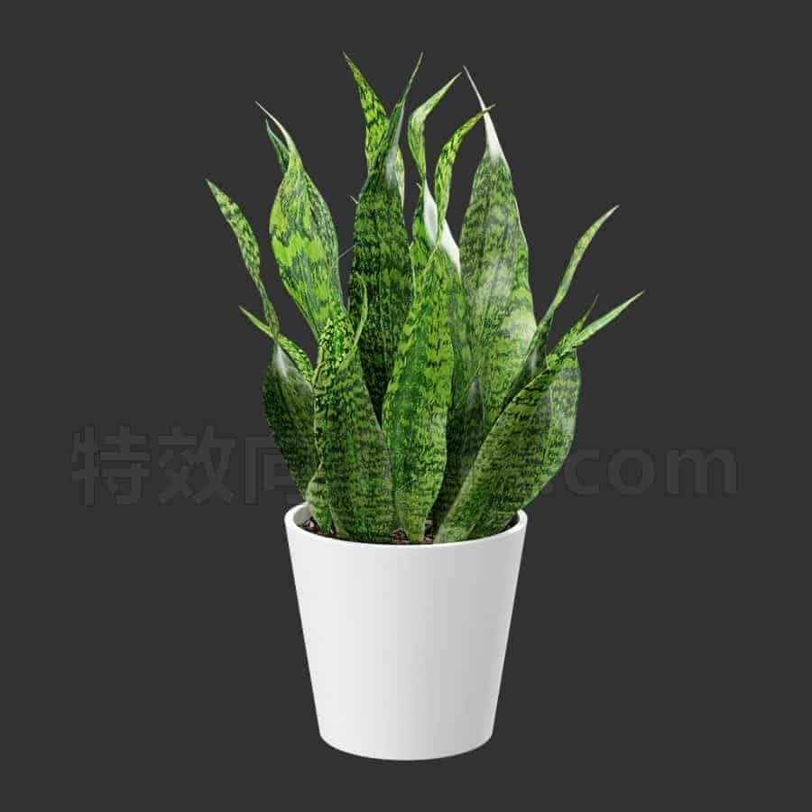 C4DG-015-植物盆栽-OC工程-C4D模型A植物-花树-草地