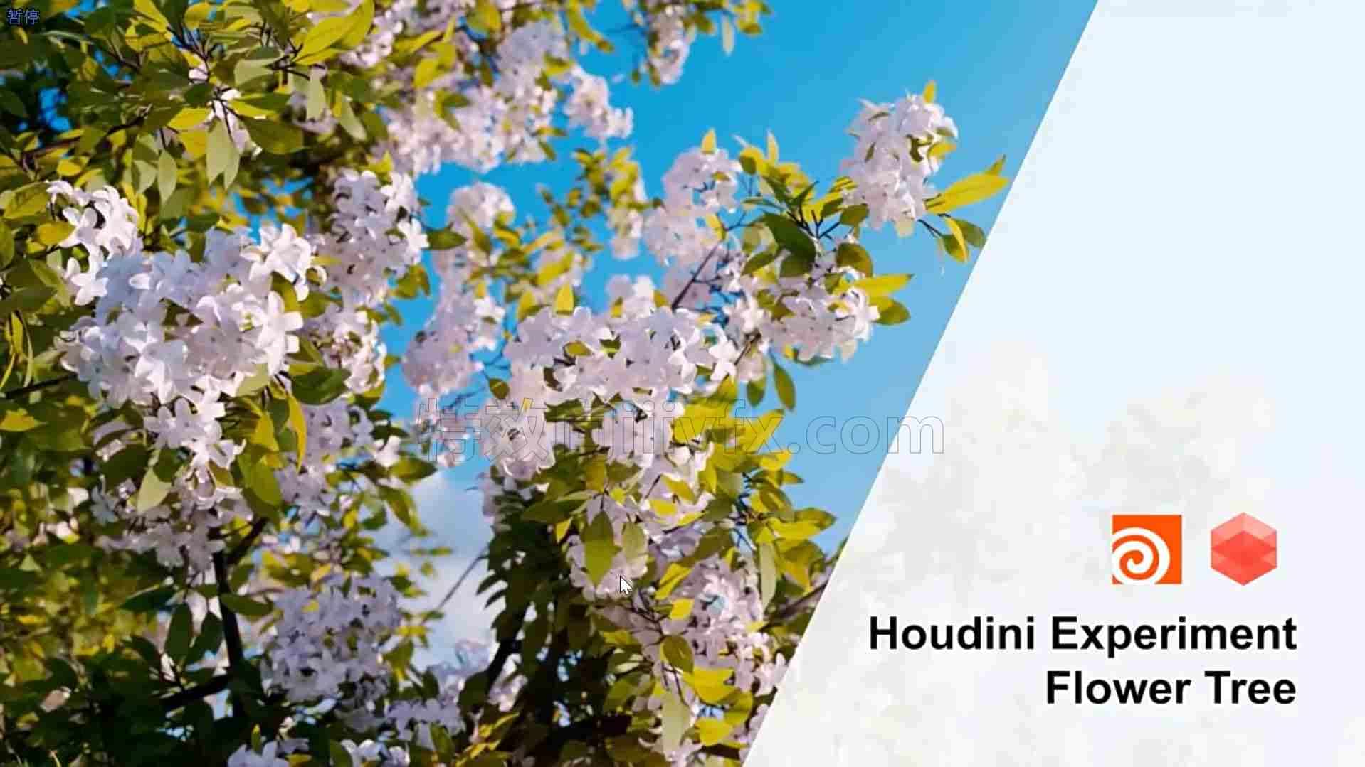 Houdini19.5唯美花树摆动制作hip文件