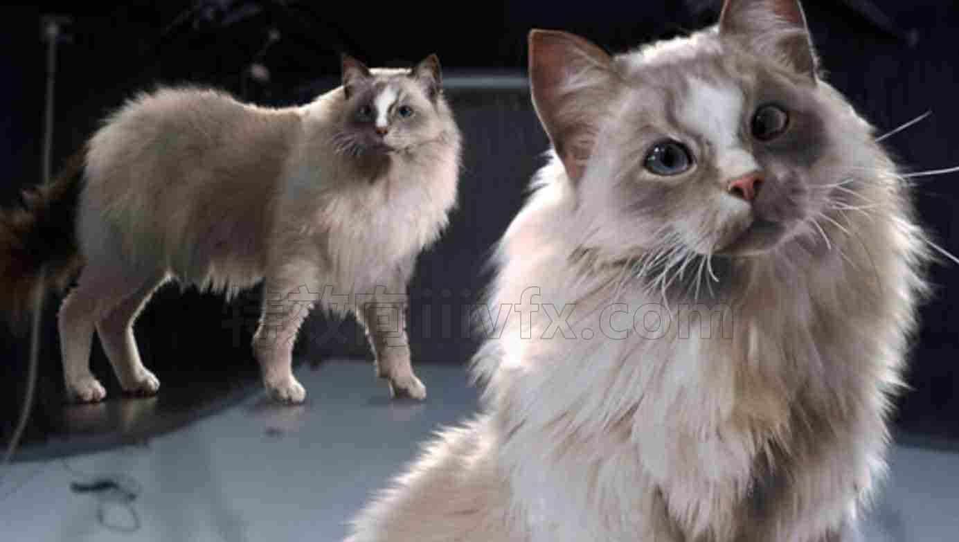Houdini毛发教程Hair & Fur Grooms