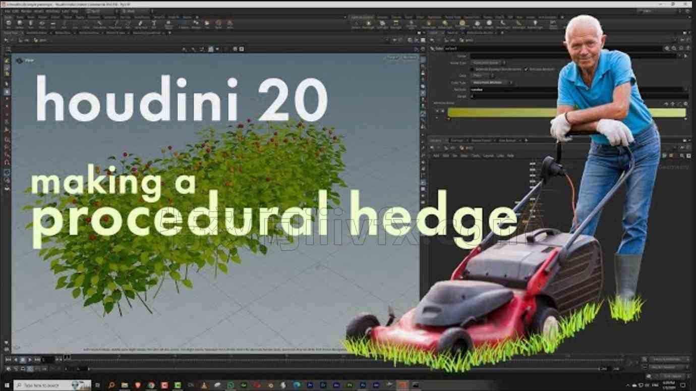 Houdini程序化建模 草地 – Procedural hedge