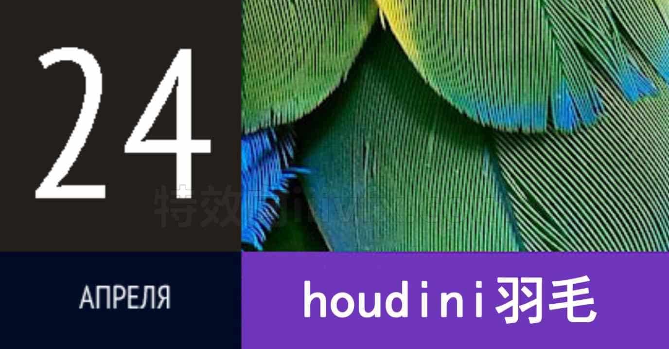 Houdini羽毛特效原理Feathers【专业国产翻译】online俄罗斯