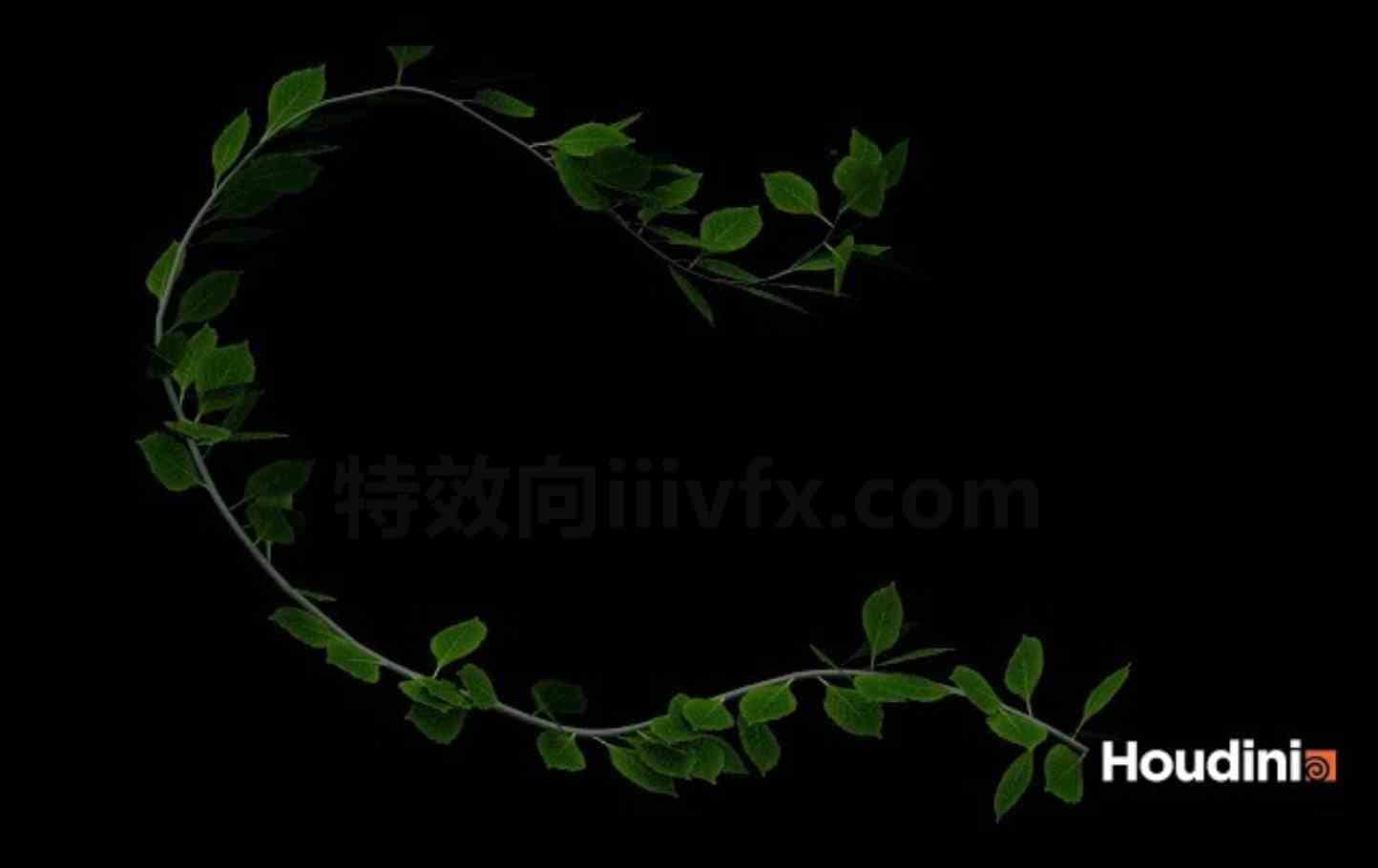 Houdini藤蔓枝条植物生长开花生叶(ivy growth with subtitle)[工程文件]