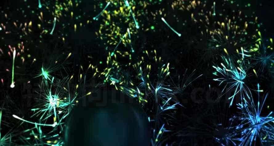 Night_Seeds工程