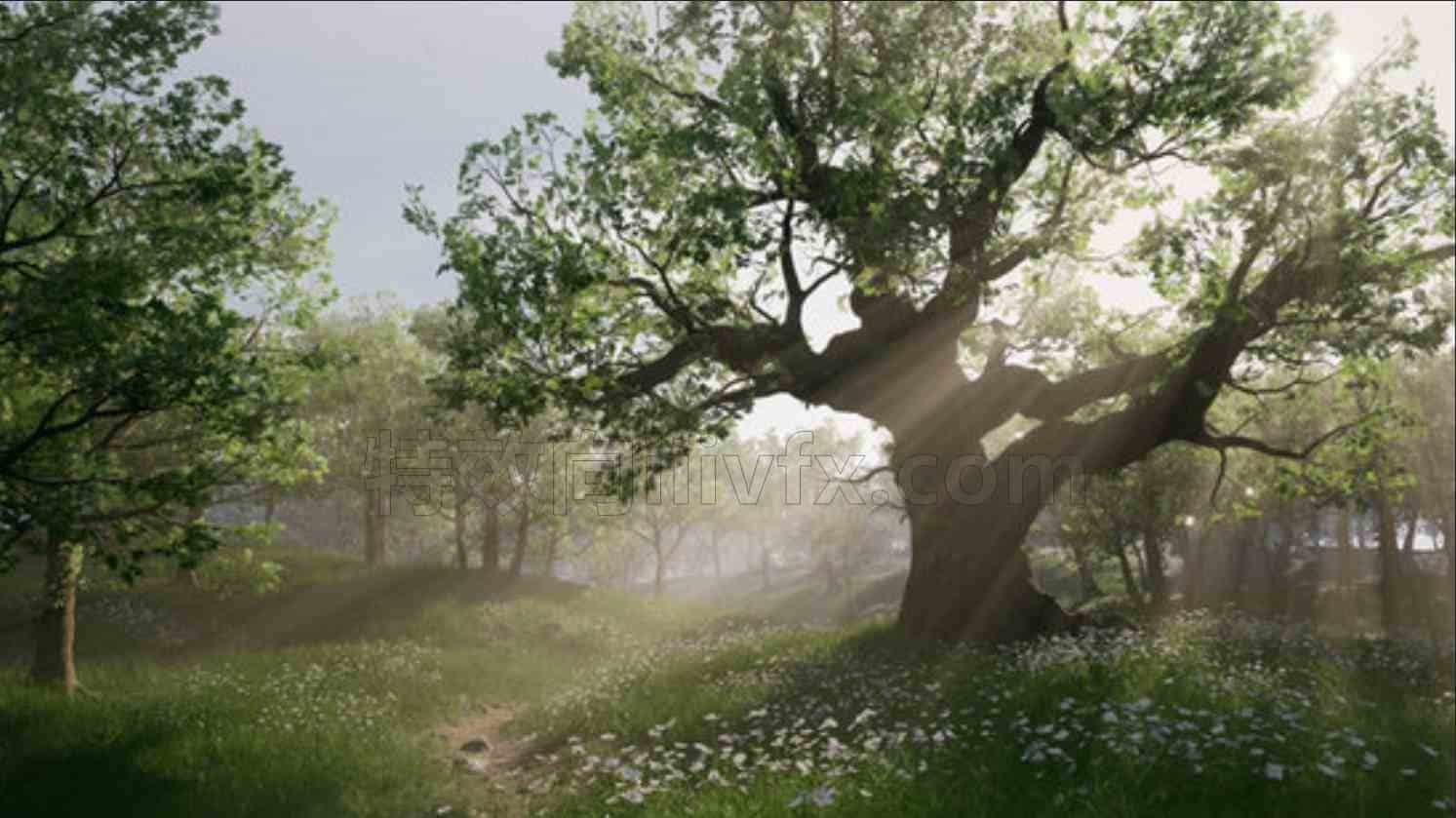 SpeedTree-UE5为电子游戏创建树叶Creating Foliage for Videogames-theg虚幻搜索