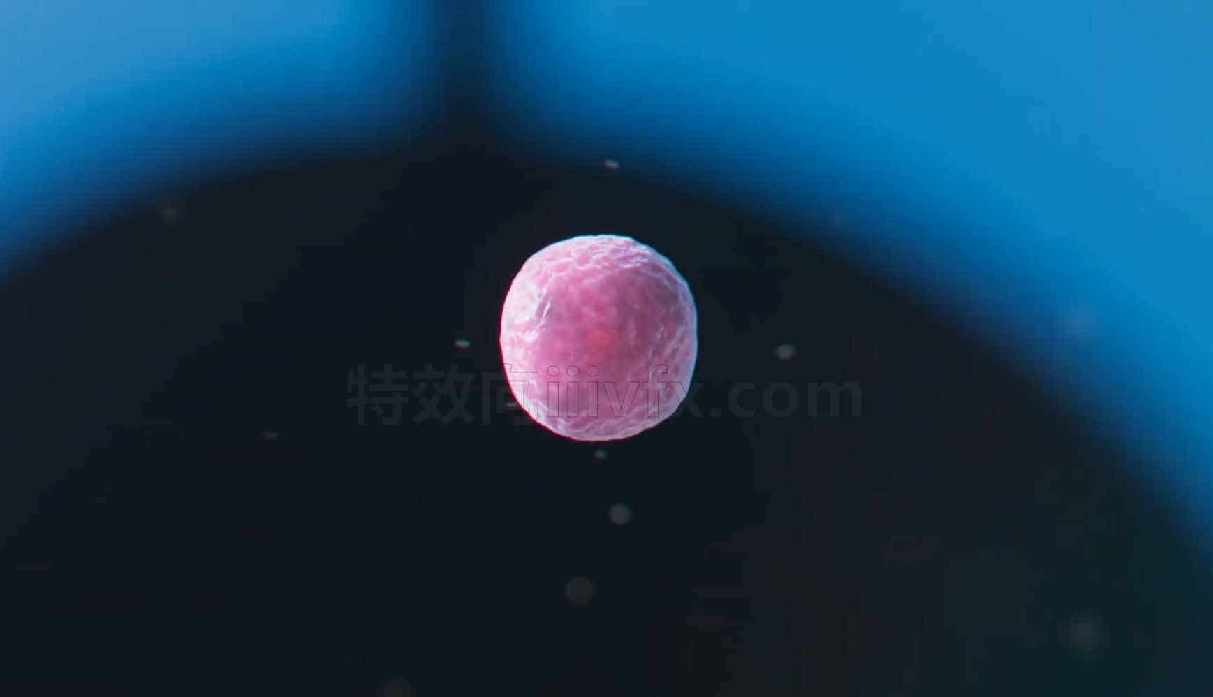 HS232课程建立你的大脑-houdini的细胞分裂Cell Division in Houdini学校