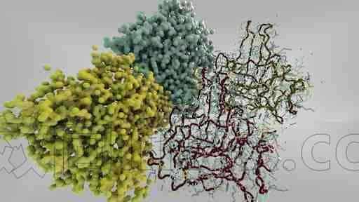 HS-227  可视化蛋白质数据库信息Visualizing Protein Data Bank Information学校