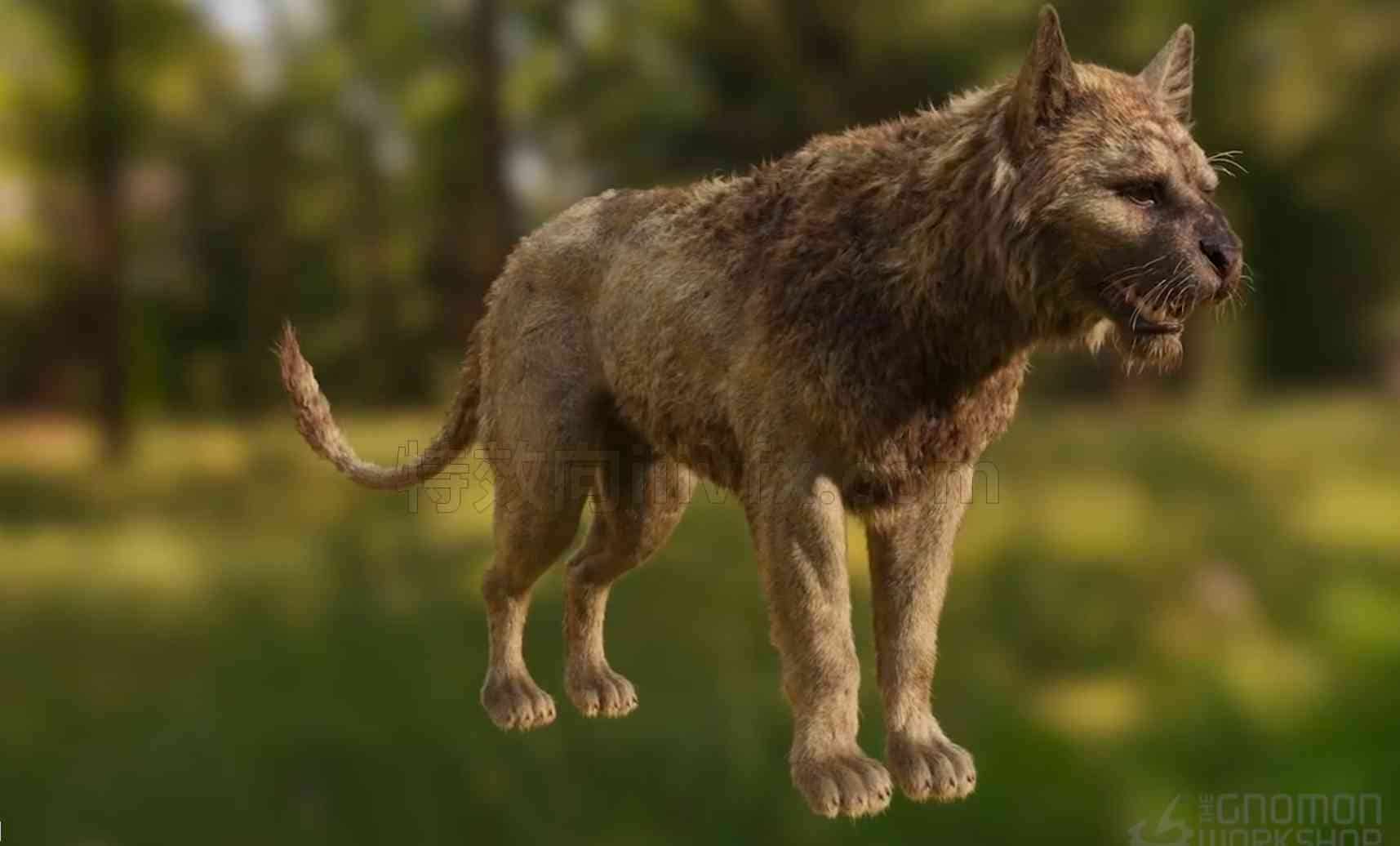 Houdini20.5笔下的奇幻生物毛发hair造型教程fantasy creature grooming in houdini