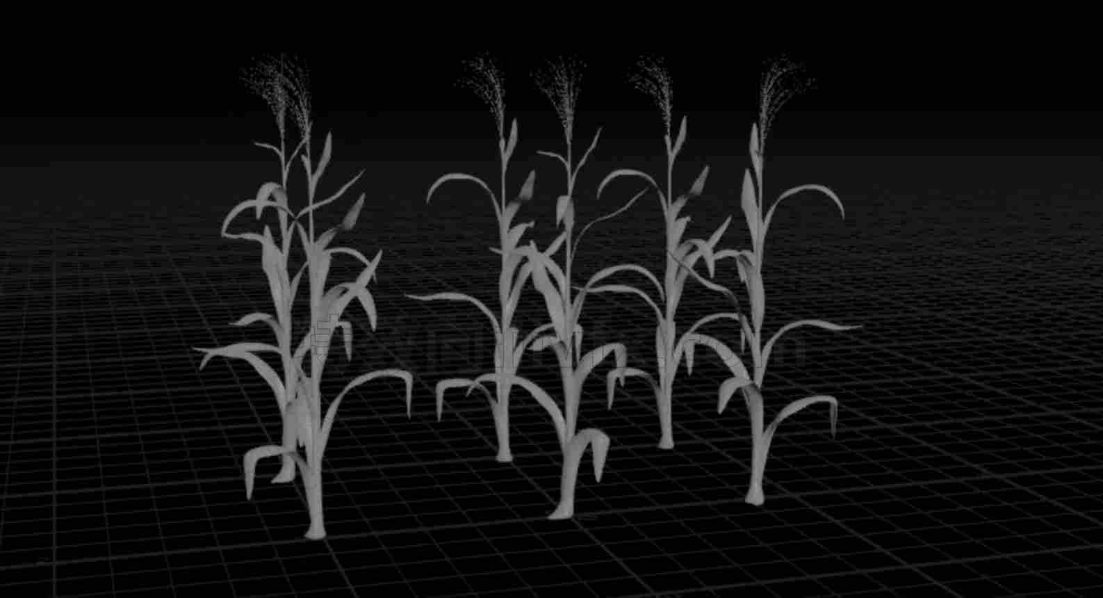 vellum植物杆碰撞hip工程corn vellum (free_hip)