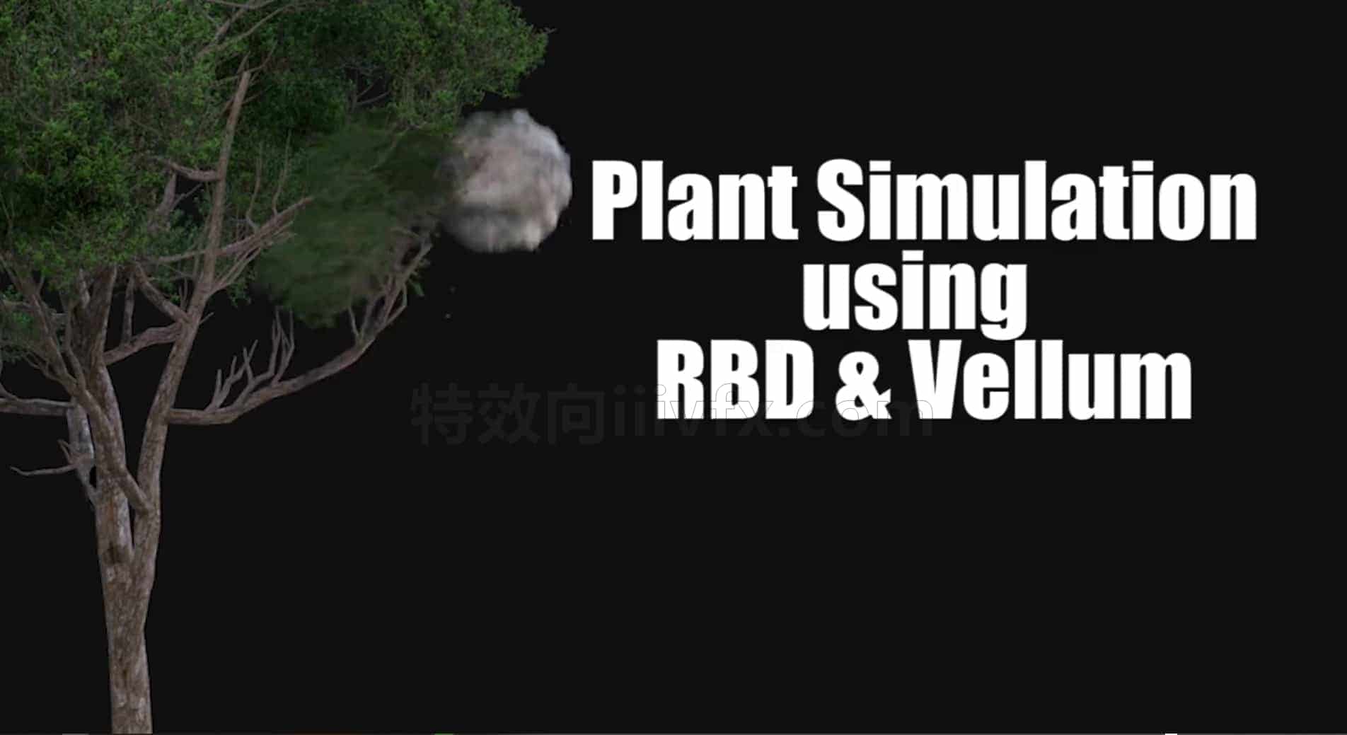 Houdini21石头跟植物碰撞交互的效果Plant Simulation in Houdini