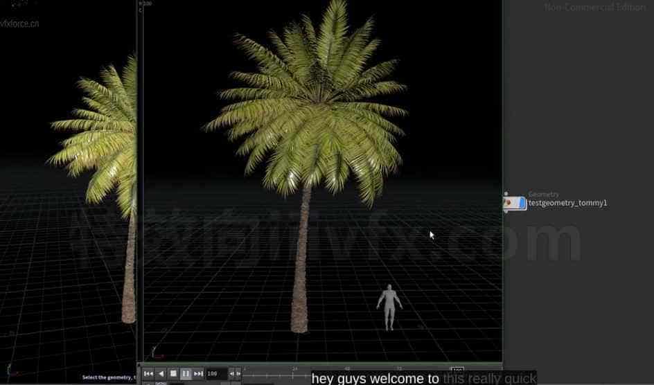 制作棕榈树叶Easy Palm Tree