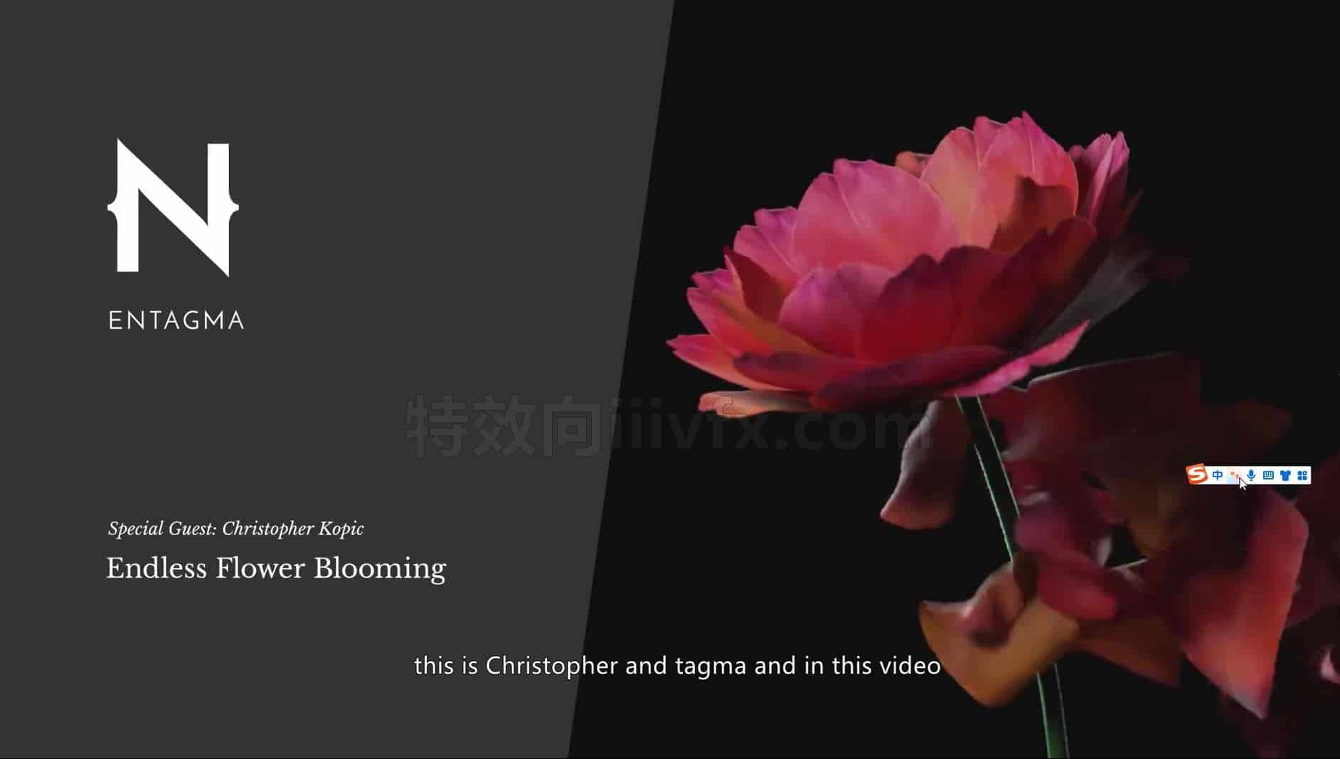 Houdini无尽的盛开花 hip工程