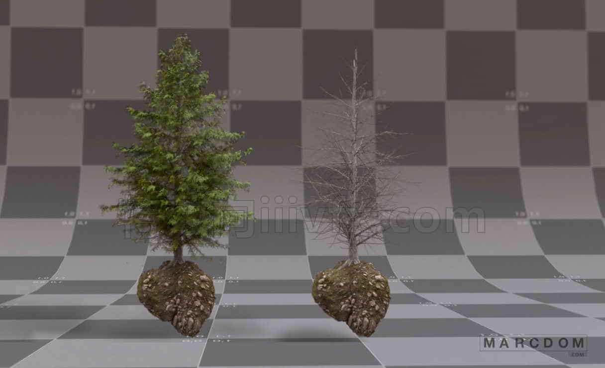 树木及环境动力学解算Quick Houdini: tree & environment simulations