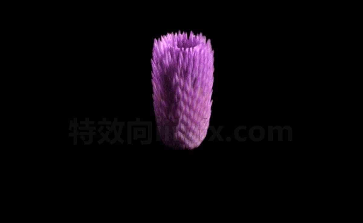 植物开花hip工程i