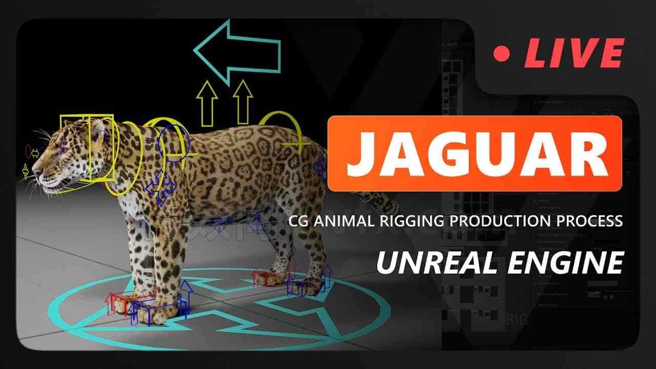虚幻5猎豹绑定Unreal Engine – Jaguar Rigging – VFX Grace