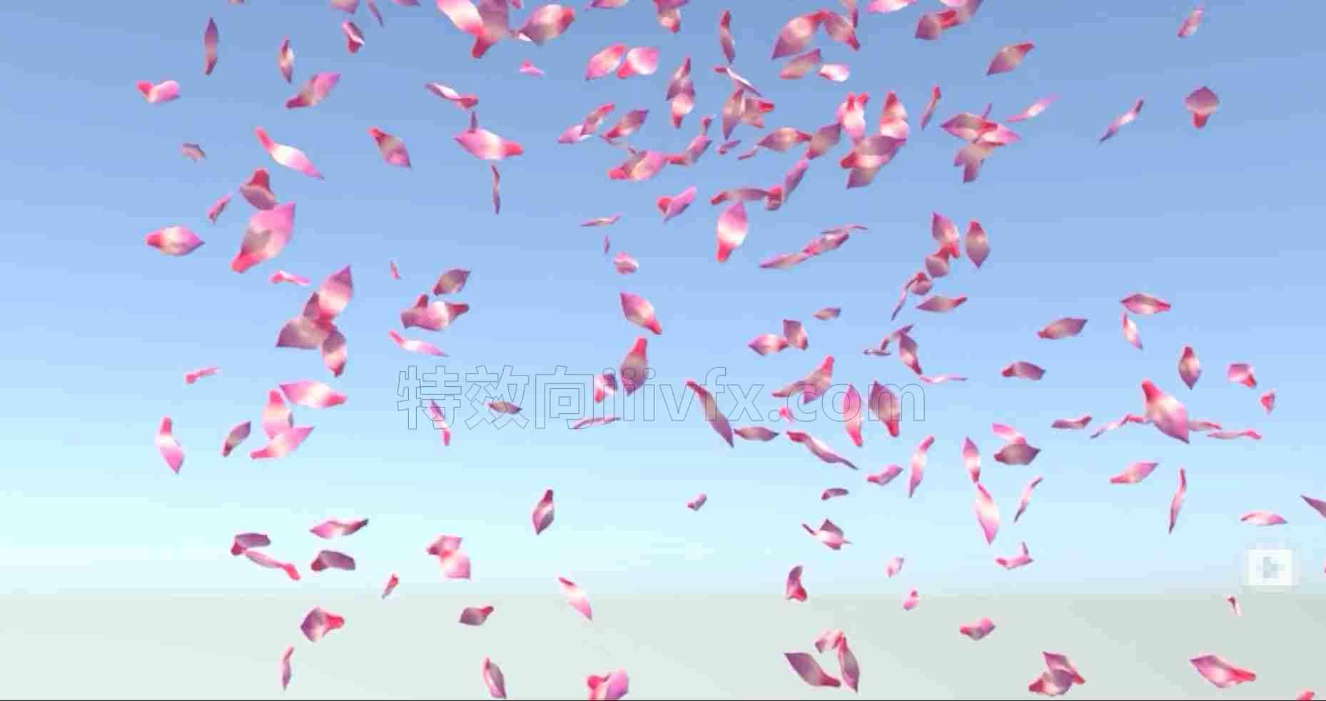 粒子随机旋转替代花瓣hip工程