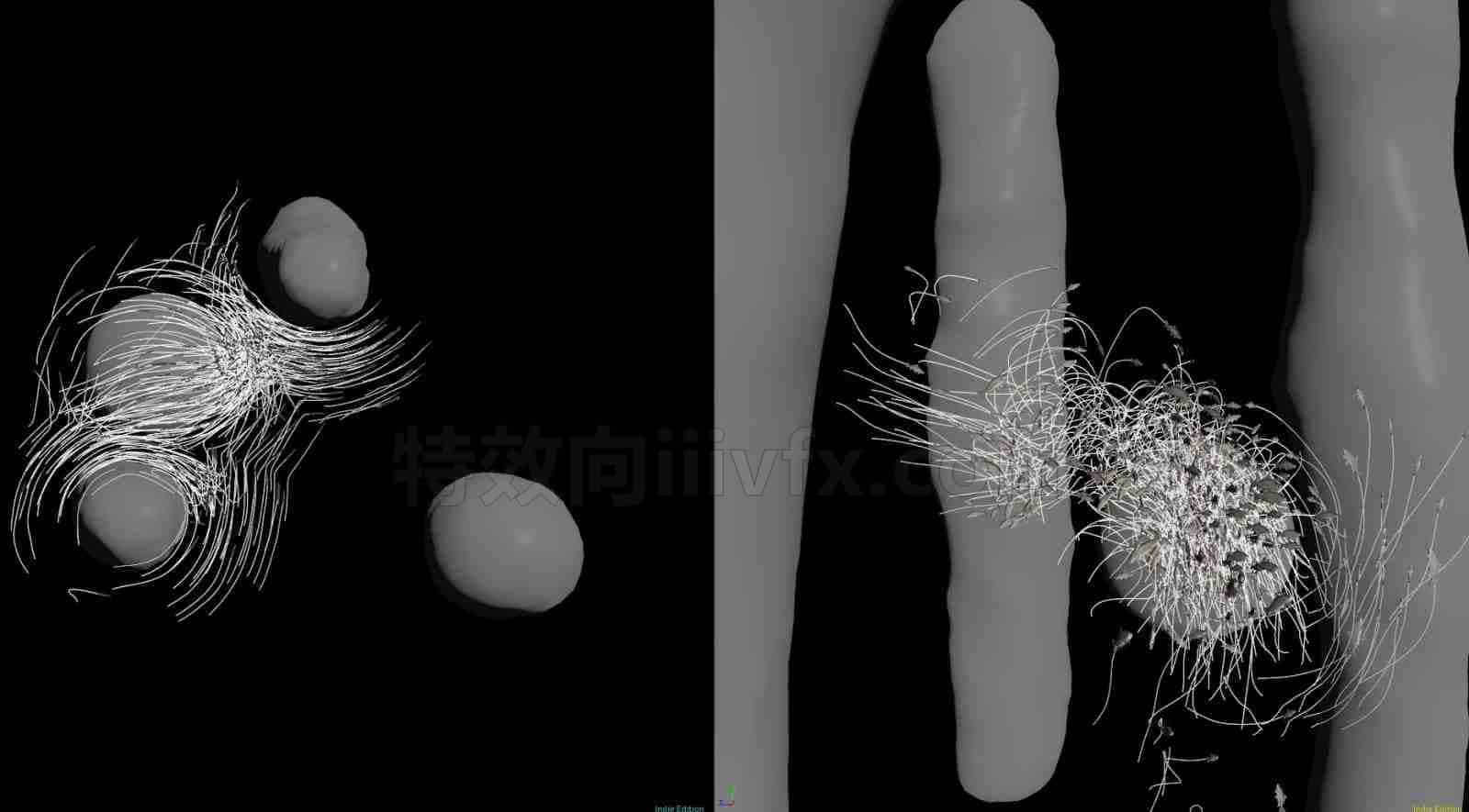 鱼群环游柱子hip资源
