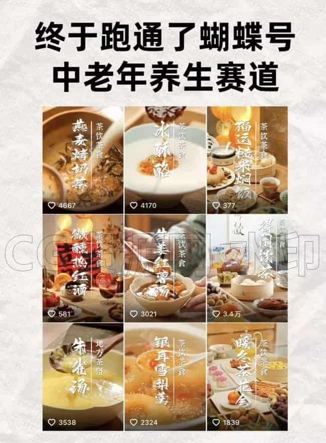图片[2]-【Ai】2025年最热DeepSeek，全新中老年养生视频号，单人居家轻松搞定，稳定有效！-B站/公众号:特效向