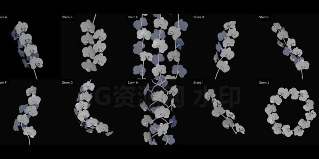 图片[2]-Houdini 兰花工程集合【2024新工程】-B站/公众号:特效向