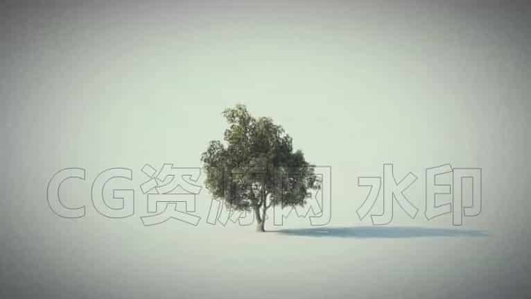 图片[2]-Houdini动态树木动力学碰撞断裂模拟全流程教学-5小时高强度实战-B站/公众号:特效向