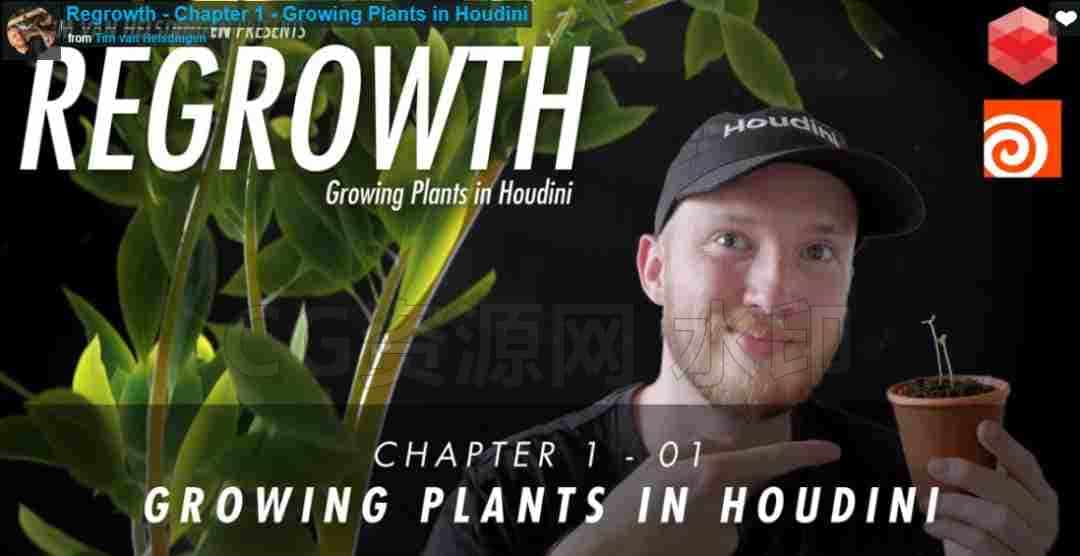 第11篇  Houdini植物生长Regrowth - Growing Plants in Houdini-B站/公众号:特效向