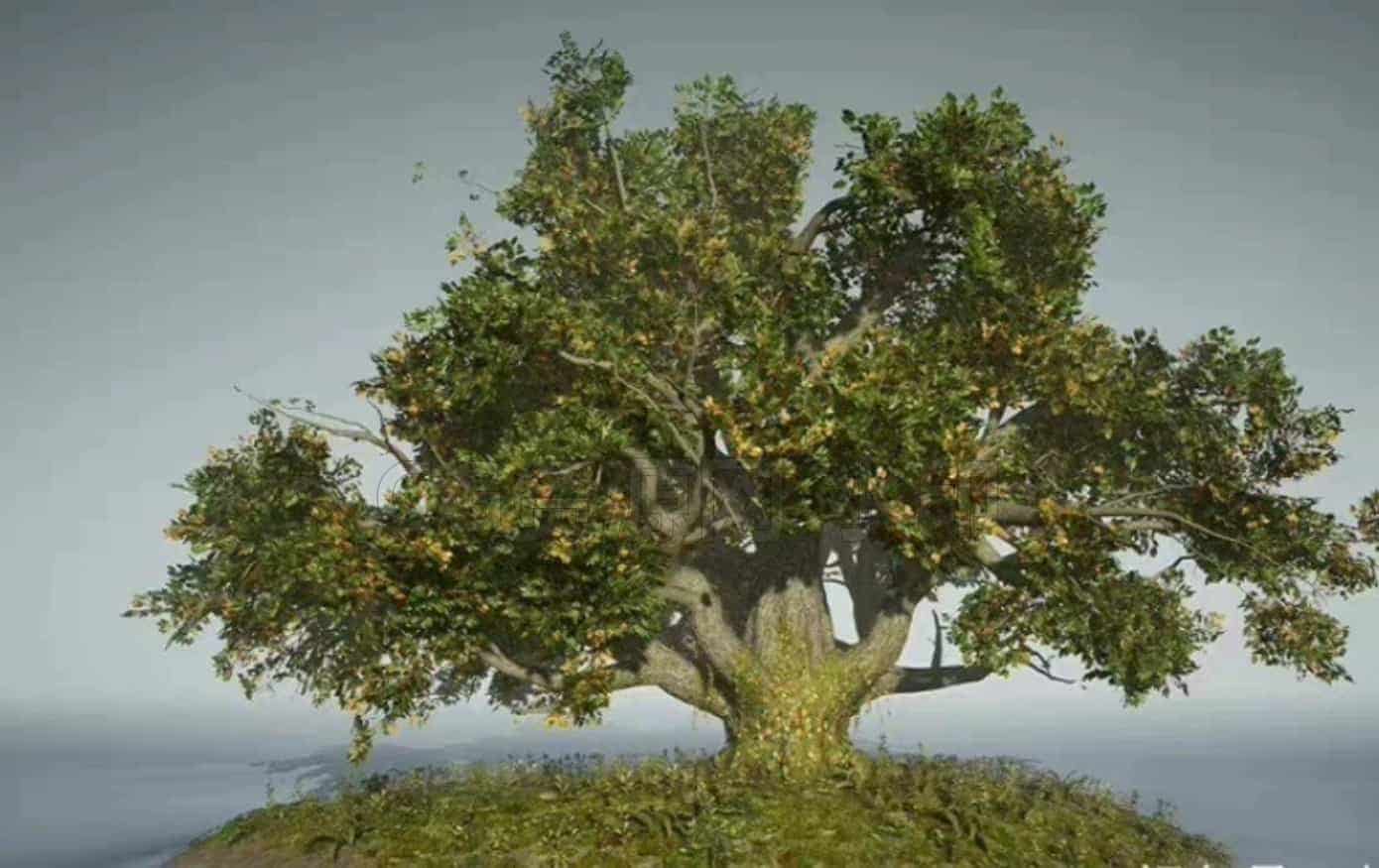 SpeedTree10中文基础教程-B站/公众号:特效向