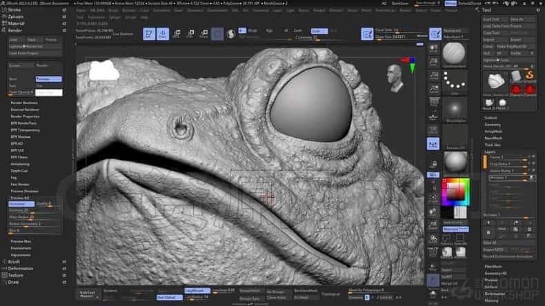 图片[3]-多软件全流程写实背篓蛤蟆角色设计(完结)无密ZBrush、Maya、Substance Painter Arnold-B站/公众号:特效向