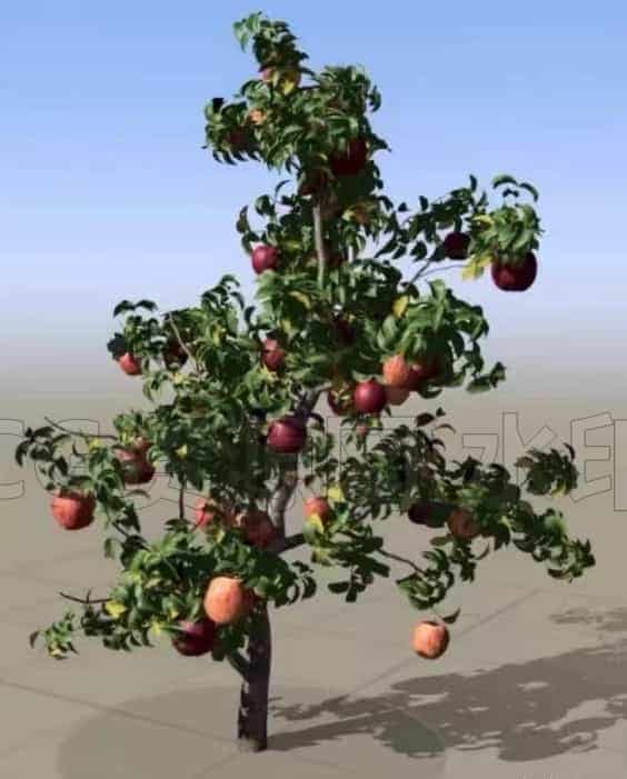图片[2]-SpeedTree10中文基础教程-B站/公众号:特效向