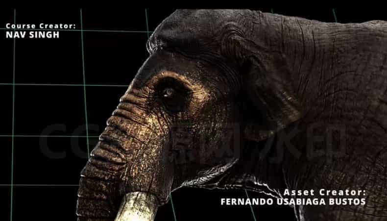 图片[3]-完结Maya制作猛犸象3D生物绑定动画与CFX课程-B站/公众号:特效向