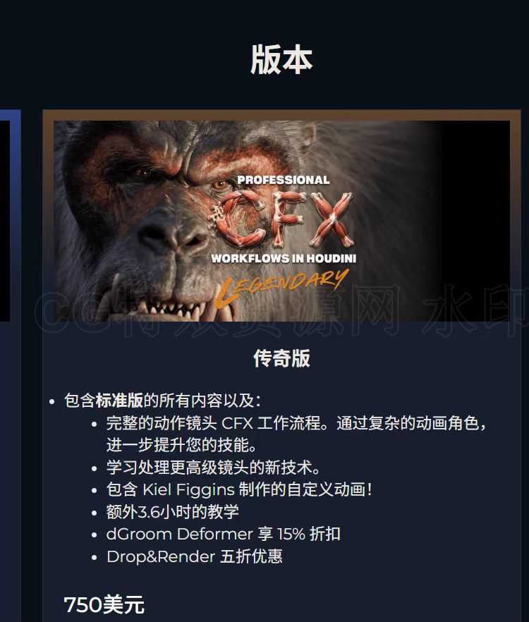 Houdini CFX 角色特效全流程实战课 doublejump出品