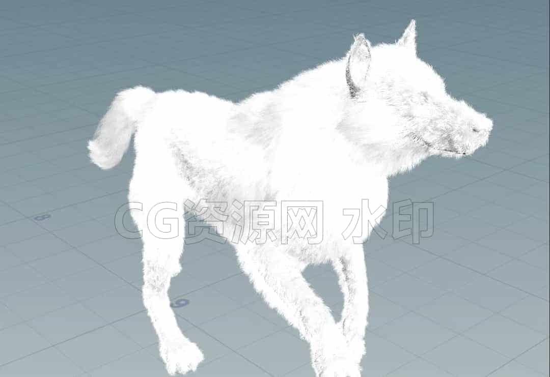 图片[3]-狼在雪地的交互解算 Houdini21工程文件hip臀部-B站/公众号:特效向