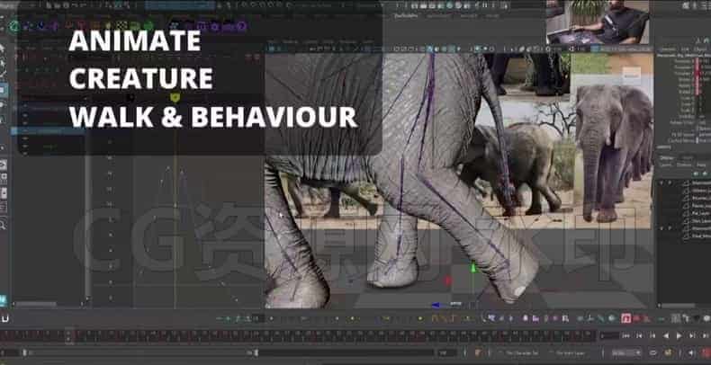 图片[5]-完结Maya制作猛犸象3D生物绑定动画与CFX课程-B站/公众号:特效向