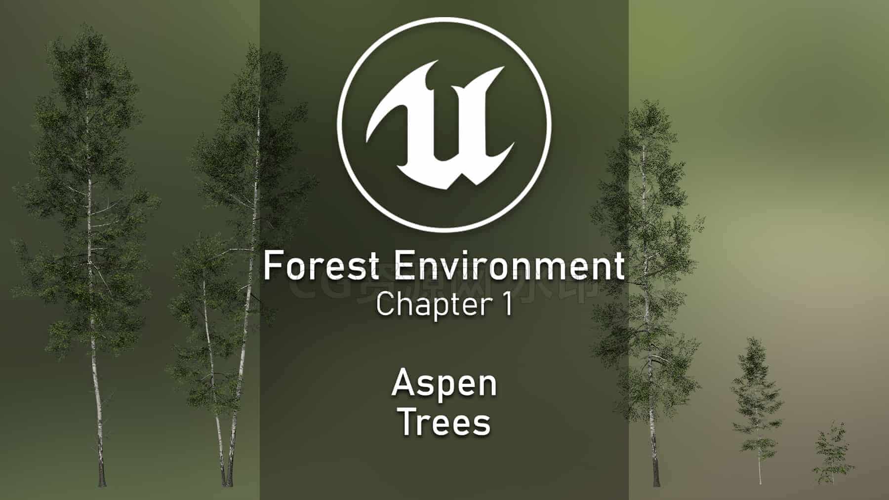 图片[5]-UE5.6&Speedtree构建白桦林场景-B站/公众号:特效向