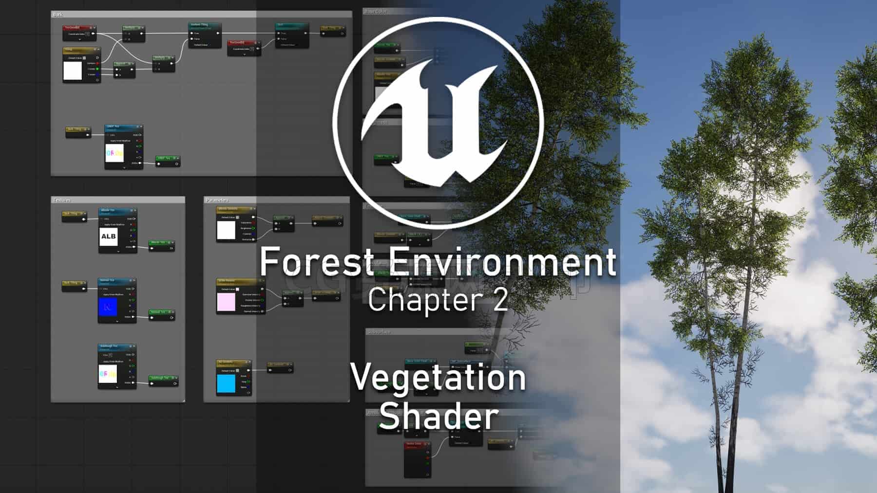 图片[6]-UE5.6&Speedtree构建白桦林场景-B站/公众号:特效向