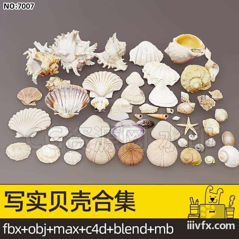blender模型A7007_写实贝壳合集-870G模型-B站/公众号:特效向