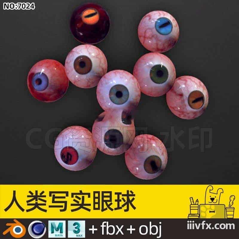 blender模型A7024_人类写实眼球-870G模型-B站/公众号:特效向