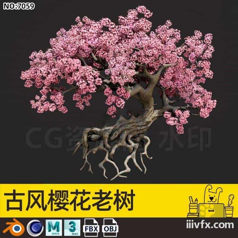 blender模型A7059_古风樱花老树-870G模型-B站/公众号:特效向
