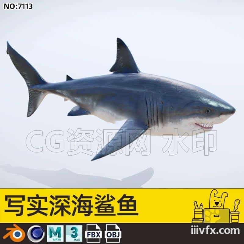 blender模型A7113_写实深海鲨鱼-870G模型-B站/公众号:特效向